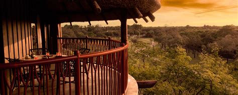 Night Safari At Disney's Animal Kingdom Lodge Now Available To All