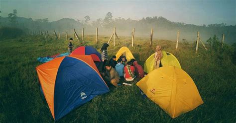 Ranca upas terus berbenah untuk meningkatkan pelayanan, ketertiban, keteraturan dan kenyamanan lokasi untuk dinikmati para campers dan wisatawan reguler. Ranca Upas Bandung, Lokasi Camping & Foto Prewedding