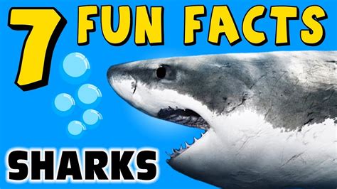 Shark Facts For Kids Printable
