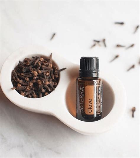 For aromatic, topical, or dietary use. doTERRA Clove Essential Oil Uses with DIY and Food Recipes ...