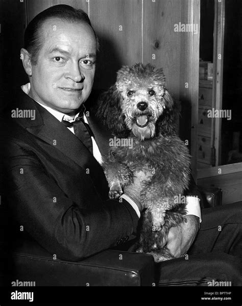 Bob Hope With Dog Actor 1964 Stock Photo Alamy