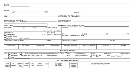 Prenatal Record Sample Form ≡ Fill Out Printable Pdf Forms Online