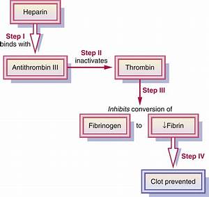 Anticoagulants Antiplatelets And Thrombolytics Basicmedical Key