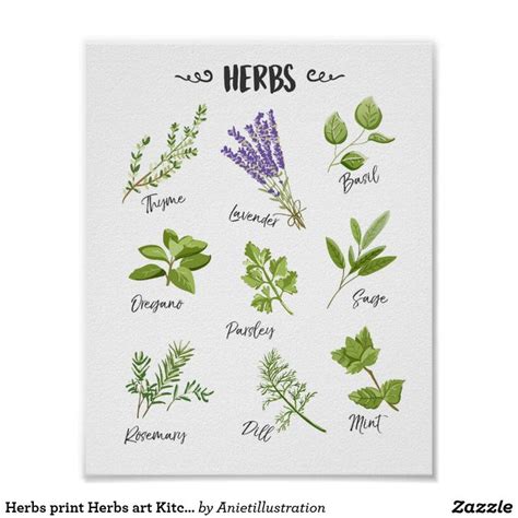 Herb Print Herbs Art Kitchen Art Kitchen Decor Zazzle Herb Art