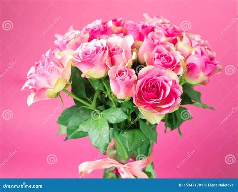 Bouquet Of Pink Roses In A Glass Vase On A Pink Background On A Vase