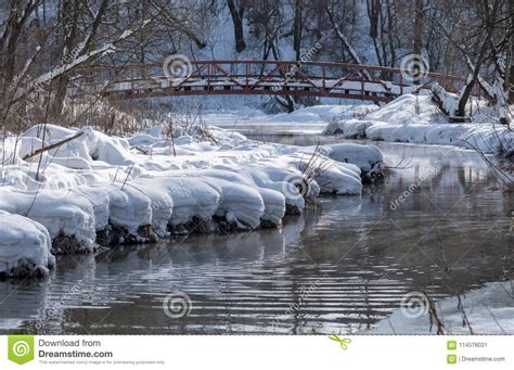 Winter River In The Park Stock Image Image Of Cold 114576031