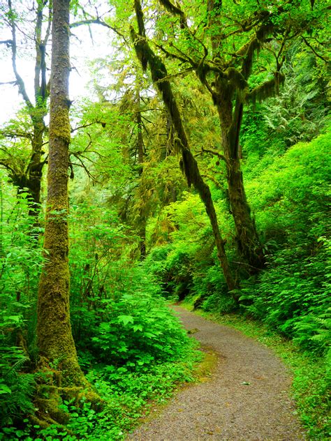 13 Top State Parks Oregon You Didnt Know Existed