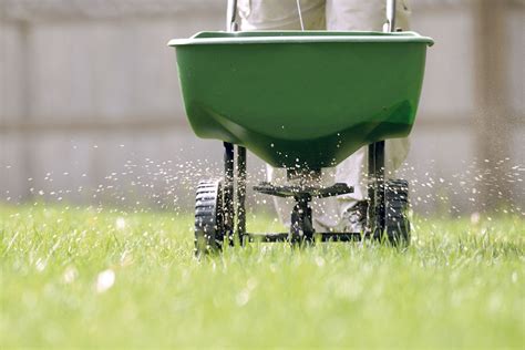 How To Properly Fertilize Your Lawn Upkeep Lawn Care Upkeep Lawn Care