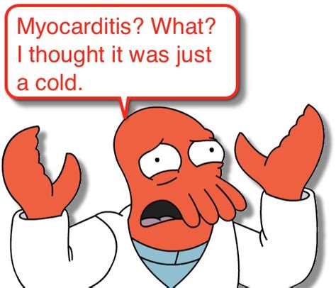 Symptoms of myocarditis include chest pain, shortness of breath, fatigue, and fluid accumulation in the lungs. myocarditis