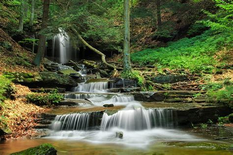 Hd Wallpaper River Between Trees Falls Run Lower End Pennsylvania