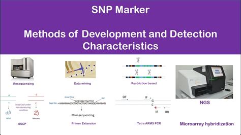 Snp Single Nucleotide Polymorphism Marker Detection Characteristics