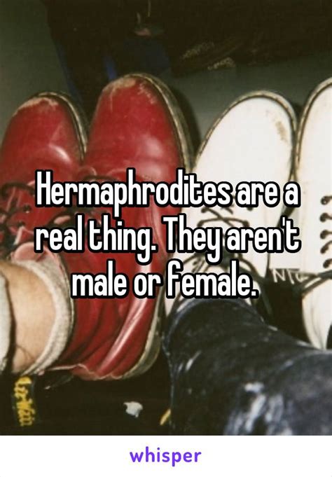hermaphrodites are a real thing they aren t male or female