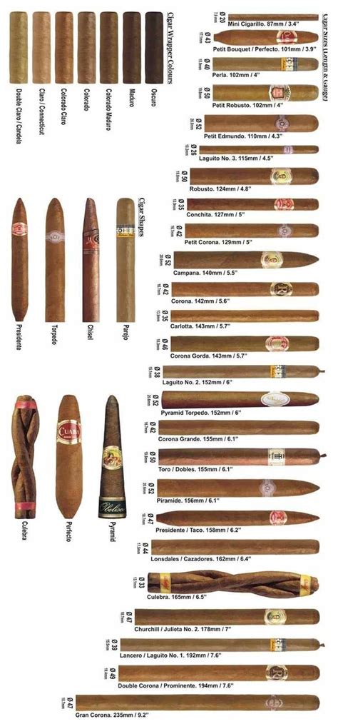 The Different Types Of Cigars Are Shown In This Diagram With Each One