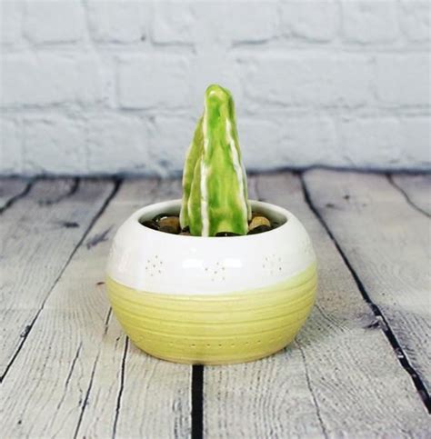 My first sip has my tongue buckled in a weird c shape in my mouth. Ceramic Creamers / Small Pitchers | Handmade Milk ...