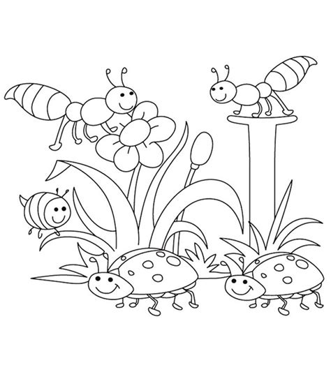 A snail and a butterfly on a flowering glade. Top 35 Free Printable Spring Coloring Pages Online