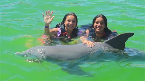 Natalia Y Sara Nadando Con Delfines Youtube