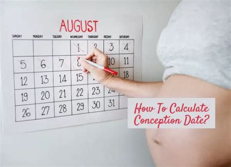 conception calculator can i find out the exact day of conception