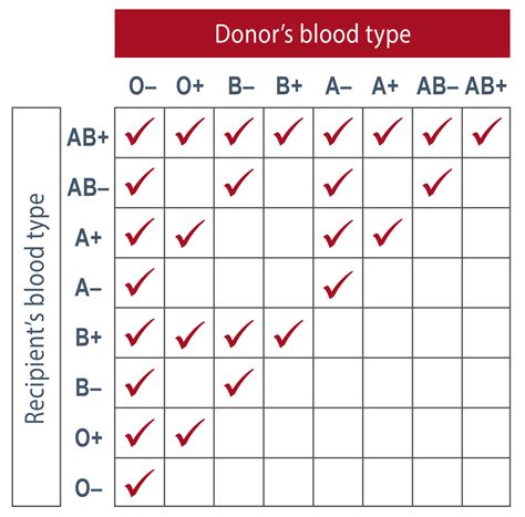 Introduction To Blood Types