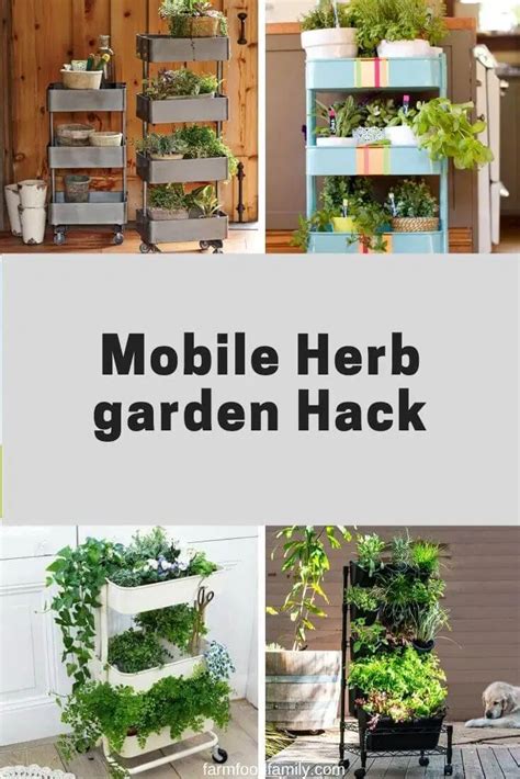 While most sprayers can hold only two cups of liquid, there are larger variants, and even pressure sprayers. 20+ Amazing IKEA Hack Ideas and Designs For 2020 (With Tutorials) in 2020 | Indoor gardens ...