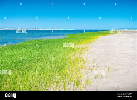 Beach In Barnstable Cape Cod Massachusetts Usa Stock Photo Alamy