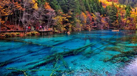 Crystalline Turquoise Lake Jiuzhaigou National Park China Hd Desktop