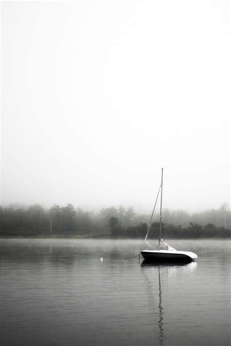 Free Images Sea Tree Water Black And White Boat Lake Reflection