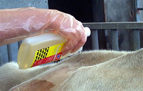 NADIS - National Animal Disease Information Service