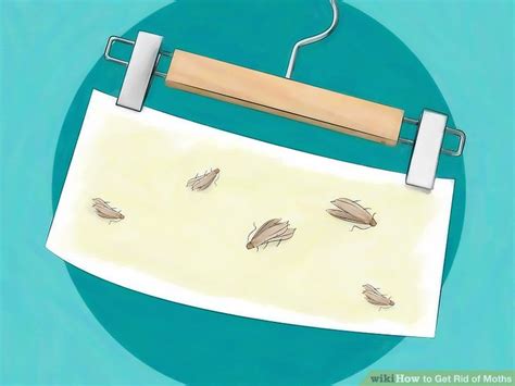 We did not find results for: 4 Ways to Get Rid of Moths - wikiHow