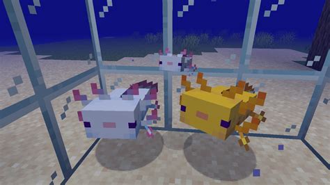 How To Breed Axolotls In Minecraft Diamondlobby