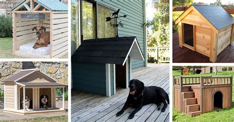 Dog House With Covered Porch / Modern Style Doghouse With Covered Porch