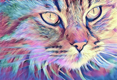 Mystical Magical Cat Digital Art By Terry Davis