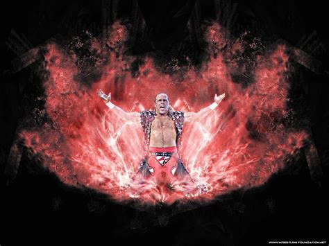 Free Download Shawn Michaels Wallpapers 1024x768 For Your Desktop
