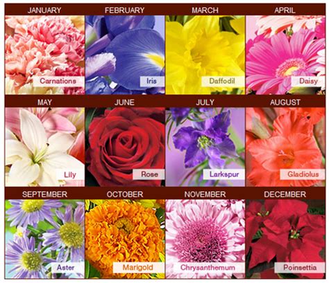 Although This Image Displays One Particular Flower For Each Month We