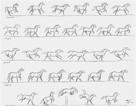 Pin By Hailey Barutel On Equidae Horse Animation Horse Drawings