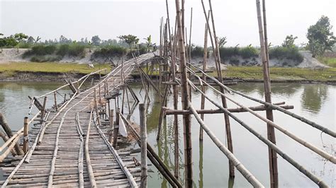 Volunteers Make Bamboo Bridge In Kurigram