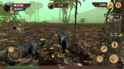 Wild Panther Sim 3d Android Gameplay Hd Youtube
