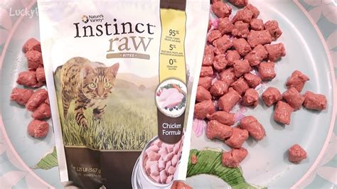 If you find a recipe for making raw cat food, run it by your vet (preferably holistic vet), for approval. Nature's Variety Instinct Raw Frozen Cat Food Product ...