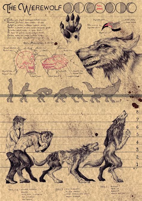 Large Werewolf European Folklore Art Print In 2020 Mythical
