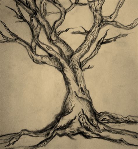 Realistic Twisted Tree Drawing At Drawing