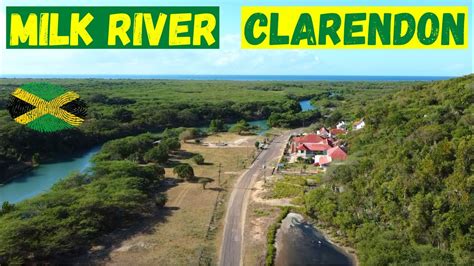 Milk River Clarendon Jamaica Youtube