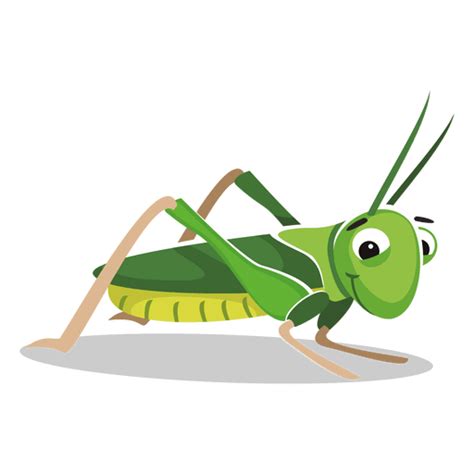 Grasshopper Cartoon PNG SVG Design For T Shirts