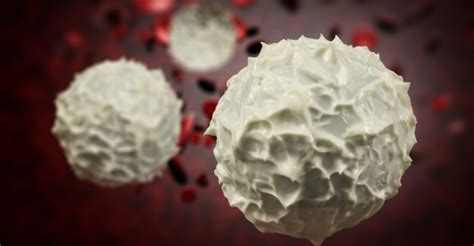 Some people who are otherwise healthy have white cell counts that are lower than what's usually considered normal, but which are normal for them. Dangers of High or Low White Blood Cell Count (and How to ...