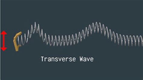 Singular transverse wave plural transverse waves physics a wave such as light that makes the substance through which. Transverse Waves | Science | Video | PBS LearningMedia