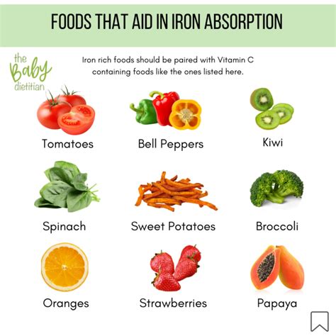 The Need For Iron Rich Foods When Starting Solids The Baby Dietitian