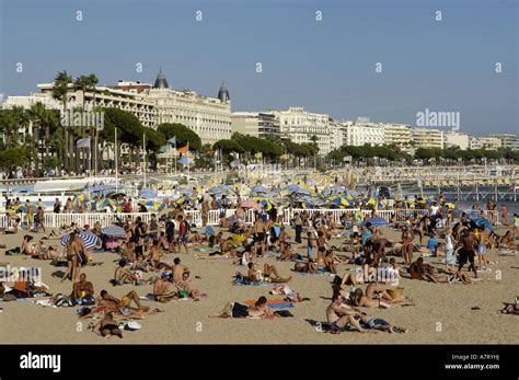Tourists Sunbathing On Beach Cannes High Resolution Stock Photography