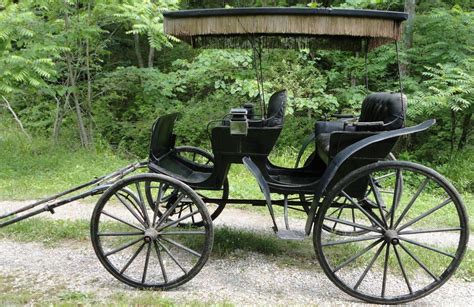 Types Of Horse Drawn Carriages Peepsburghcom