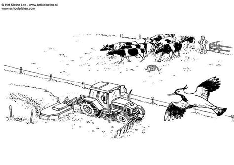 Bruder ausmalbilder landwirtschaft 20 images ausmalbilder traktor bruder. 17 Målarbilder Mejerigård - 2020 - Skriv Ut Gratis Målarbilder