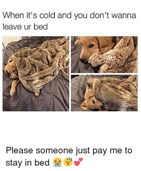 25 Best Memes About Stay In Bed Stay In Bed Memes
