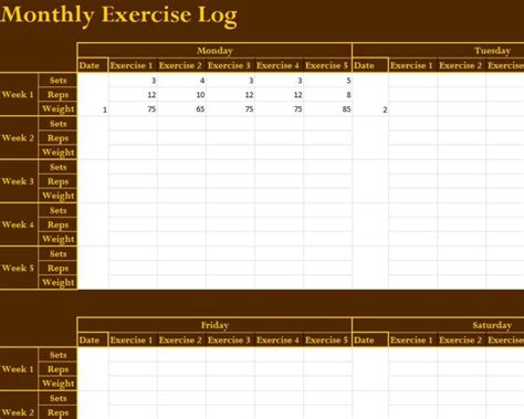 monthly exercise log  excel templates