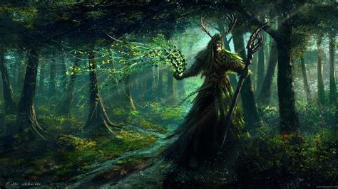 Elven Forest Wallpaper 74 Images